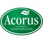 ACORUS