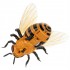 KIK RC nuotoliniu būdu valdoma bitė su pulteliu