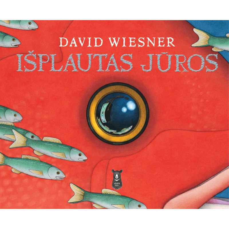 DAVID WIESNER Išplautas jūros