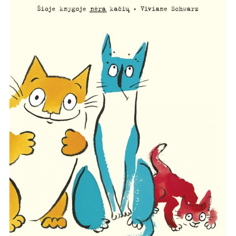 VIVIANE SCHWARZ "Šioje knygoje nėra kačių"
