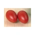 COMMOTION barškučiai EGG, 2 vnt.