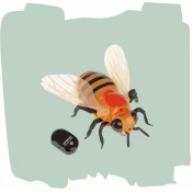 Radijo bangomis valdomi, interaktyvūs žaislai